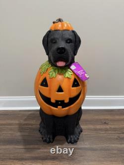 2.5 Ft Black Lab Halloween Dog Blow Mold Ghost LED 2025 Home Depot FREE SHIPPING
