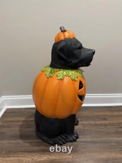 2.5 Ft Black Lab Halloween Dog Blow Mold Ghost LED 2025 Home Depot FREE SHIPPING