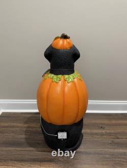 2.5 Ft Black Lab Halloween Dog Blow Mold Ghost LED 2025 Home Depot FREE SHIPPING