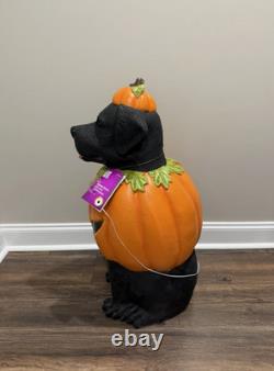 2.5 Ft Black Lab Halloween Dog Blow Mold Ghost LED 2025 Home Depot FREE SHIPPING