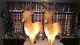 2 Blow Mold Reindeer Santas Best Outdoors Indoors Light Up 41 In. Tall By 36