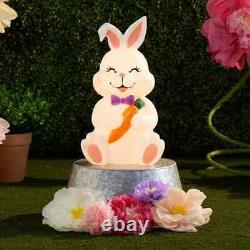 2025 Cracker Barrel Easter/Spring 24 Sitting Bunny withCarrot Blow MoldFREE SHIP