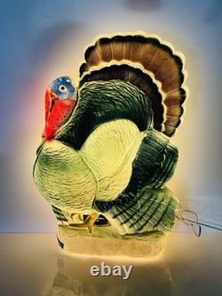 25 Union Don Featherstone Turkey Thanksgiving Blow Mold