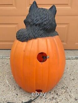 28 Lighted Halloween Blow Mold Jack-O-Lantern Pumpkin Black Cat TPI Canada'94