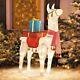 40 Lighted Festive Christmas Llama Sculpture Yard Decor (free Shipping)