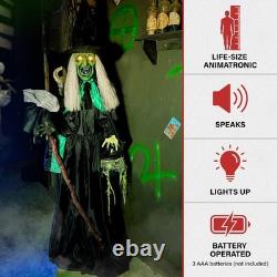 6ft Life Size Animatronic Talking Witch Cauldron Broom Light Up Halloween Prop