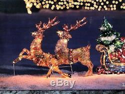 70 HOLOGRAPHIC LIGHTED CHRISTMAS Santa SLEIGH REINDEER HOLIDAY OUTDOOR Yard