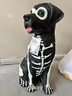 Black Lab Halloween Dog Blow Mold 2024 Home Depot Labrador 2.5 Ft Glow in Dark