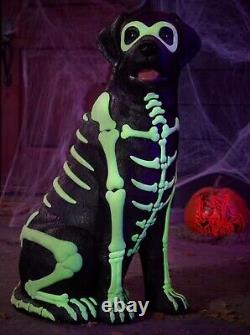 Black Lab Halloween Dog Blow Mold 2024 Home Depot Labrador 2.5 Ft Glow in Dark