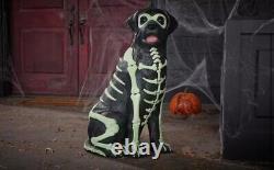 Black Lab Halloween Dog Blow Mold 2024 Home Depot Labrador 2.5 Ft Glow in Dark