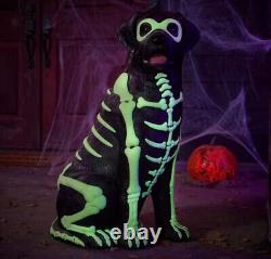 Black Lab Halloween Dog Blow Mold 2024 Home Depot Labrador 2.5 Ft Glow in Dark