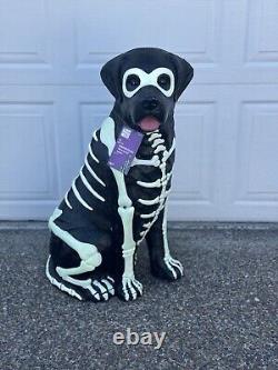 Black Lab Halloween Dog Blow Mold 2024 Home Depot Labrador 2.5 Ft Glow in Dark