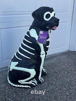 Black Lab Halloween Dog Blow Mold 2024 Home Depot Labrador 2.5 Ft Glow in Dark