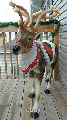 Blow Mold 48 Reindeer Led Lighted Christmas Holiday Yard Decoration New