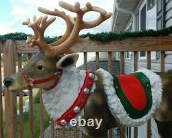 Blow Mold 48 Reindeer Led Lighted Christmas Yard Decoration