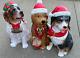 Blow Mold Led 2.5 Ft Christmas St Bernard Dog Bernese Mountain Golden Doddle