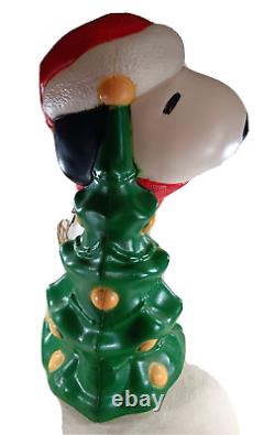 Christmas Blow Mold Snoopy Peanuts Tree Woodstock General Foam 30 USA 2010