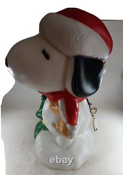 Christmas Blow Mold Snoopy Peanuts Tree Woodstock General Foam 30 USA 2010