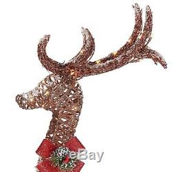 Christmas Outdoor Lighted Large Deer Family Buck Doe Reindeer Figure Display Set