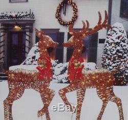 Christmas Outdoor Lighted Large Deer Family Buck Doe Reindeer Figure Display Set