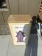 Cracker Barrel 3 Ft Haunted House Blow Mold Vintage Halloween 2025 In Hand