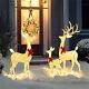 Deer Family 3 Pcs Red Gift Knot Outdoor Inflatable Led Christmas Courtyard Light