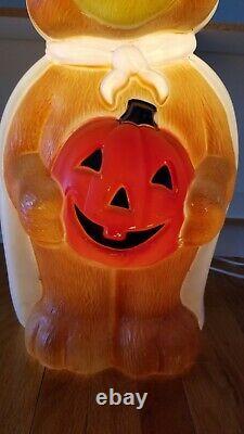 Halloween Empire Plastics Lighted Blow Mold Bear Masked Bandit with Pumpkin 24