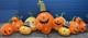 Halloween Gemmy Airblown Inflatable Pumpkin Patch Over 12' Long