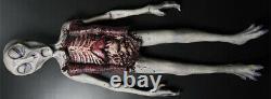 Halloween Roswell Area 51 Alien Death Exposed Life Size Sci Fi Prop haunted hous