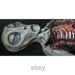 Halloween Roswell Area 51 Alien Death Exposed Life Size Sci Fi Prop haunted hous