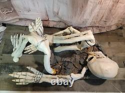 Halloween skeleton in Ground lawn prop decor scary skull