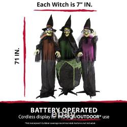 Haunted Hill Farm Life-Size Scary Talking 3 Witches with Cauldron Halloween Haunted Hill Farm Life-Size Scary Talking 3 Witches with Cauldron Halloween