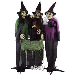 Haunted Hill Farm Life-Size Scary Talking 3 Witches with Cauldron Halloween Haunted Hill Farm Life-Size Scary Talking 3 Witches with Cauldron Halloween