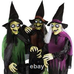 Haunted Hill Farm Life-Size Scary Talking 3 Witches with Cauldron Halloween Haunted Hill Farm Life-Size Scary Talking 3 Witches with Cauldron Halloween