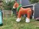 Huge Clydesdale Horse, Inflatable