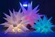 Led Inflatable Star Party Decor With Led Rgb Inflatable Decoration Wedding A