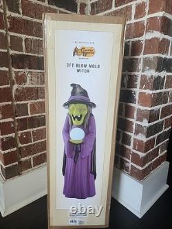 NEW Cracker Barrel Witch Blow Mold Halloween 2024 3ft 36 3 Light Sold Out