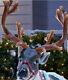 New Led 48 Lighted Reindeer Blow-mold Christmas Yard Free Shipping