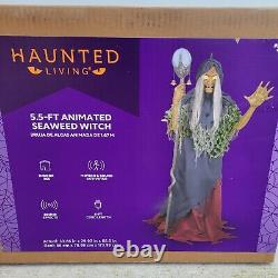 New In Box Haunted Living 5.5ft Animated Seaweed Witch