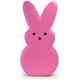 New Pink Blow Mold Bunny Peep Gfp General Foam Plastics Htf Rare Easter Light