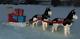 Outdoor Indoor Christmas Over 11ft Husky Dog Sled Lighted Decor Tinsel Yard