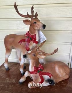 Pair Of Reindeer Buck Doe Light-Up Christmas Blow Mold Deer 26 & 15 New Unused Pair Of Reindeer Buck Doe Light-Up Christmas Blow Mold Deer 26 & 15 New Unused
