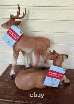 Pair Of Reindeer Buck Doe Light-Up Christmas Blow Mold Deer 26 & 15 New Unused Pair Of Reindeer Buck Doe Light-Up Christmas Blow Mold Deer 26 & 15 New Unused