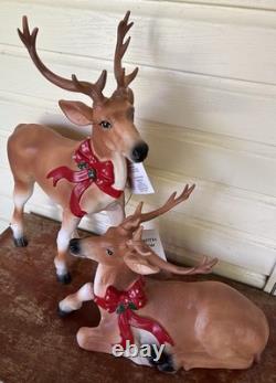 Pair Of Reindeer Buck Doe Light-Up Christmas Blow Mold Deer 26 & 15 New Unused Pair Of Reindeer Buck Doe Light-Up Christmas Blow Mold Deer 26 & 15 New Unused