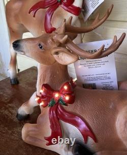 Pair Of Reindeer Buck Doe Light-Up Christmas Blow Mold Deer 26 & 15 New Unused Pair Of Reindeer Buck Doe Light-Up Christmas Blow Mold Deer 26 & 15 New Unused