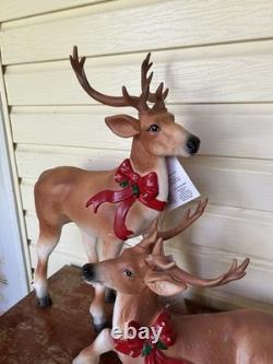 Pair Of Reindeer Buck Doe Light-Up Christmas Blow Mold Deer 26 & 15 New Unused Pair Of Reindeer Buck Doe Light-Up Christmas Blow Mold Deer 26 & 15 New Unused