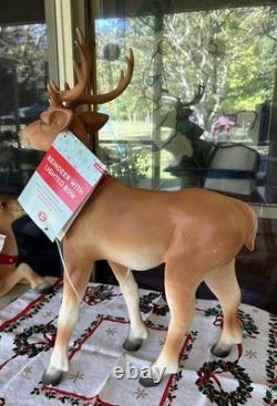 Pair Of Reindeer Buck Doe Light-Up Christmas Blow Mold Deer 26 & 15 New Unused Pair Of Reindeer Buck Doe Light-Up Christmas Blow Mold Deer 26 & 15 New Unused
