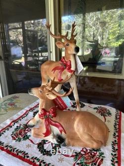 Pair Of Reindeer Buck Doe Light-Up Christmas Blow Mold Deer 26 & 15 New Unused Pair Of Reindeer Buck Doe Light-Up Christmas Blow Mold Deer 26 & 15 New Unused