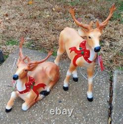 Pair of Blow Mold Reindeer Deer Standing Laying LED Christmas 27 Small Light Up