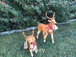 Pair of Blow Mold Reindeer Deer Standing & Laying LED Christmas Light Up 27